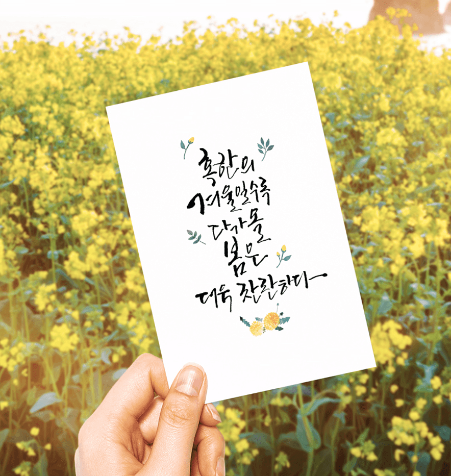 스탠더드 엽서